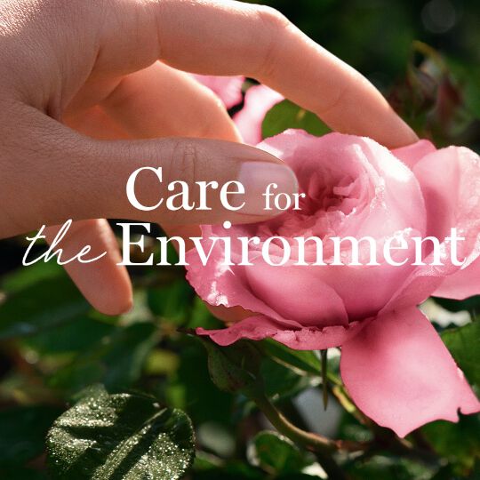 Frau streichelt Rose: Care for our nature.